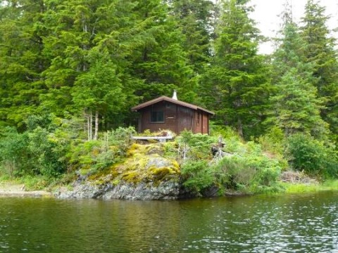 Jim's Lake Cabin nestled in the woods next to Jim's Lake