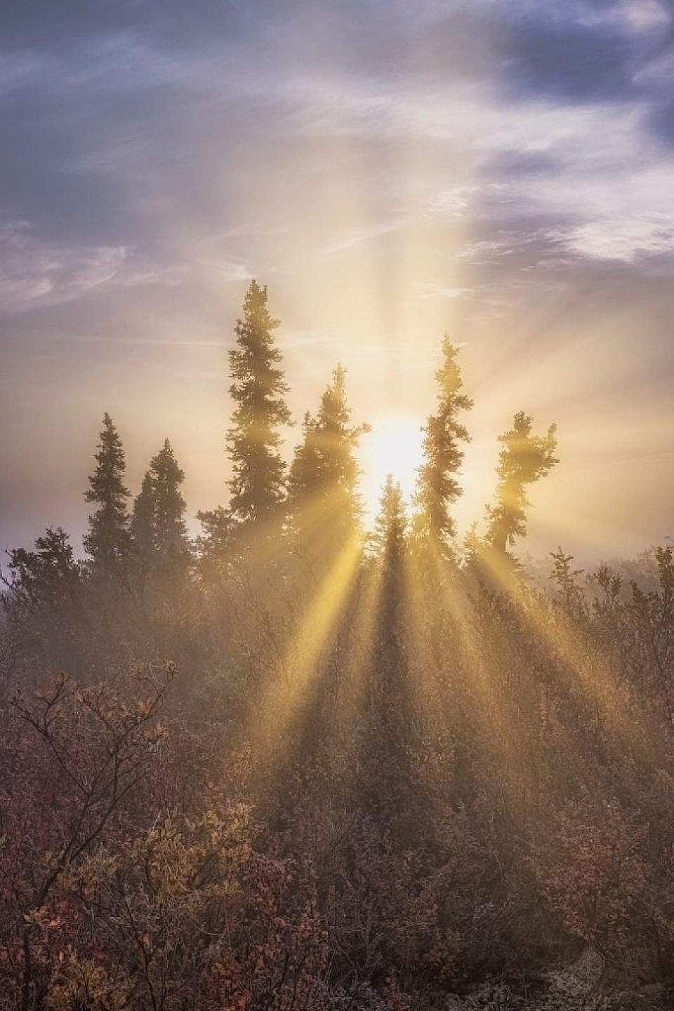 Morning sunrise in Palmer, Alaska