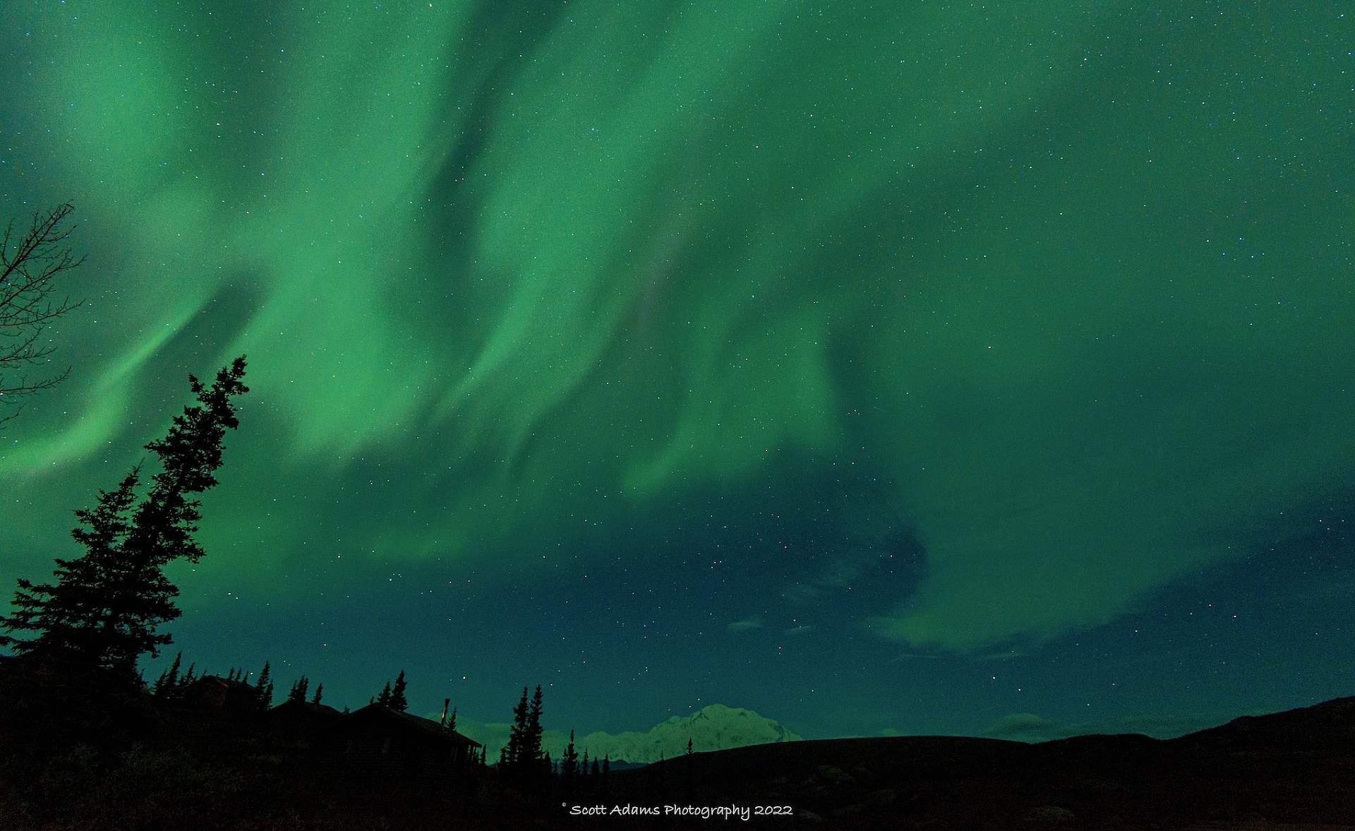 Aurora Borealis in Denali National Park