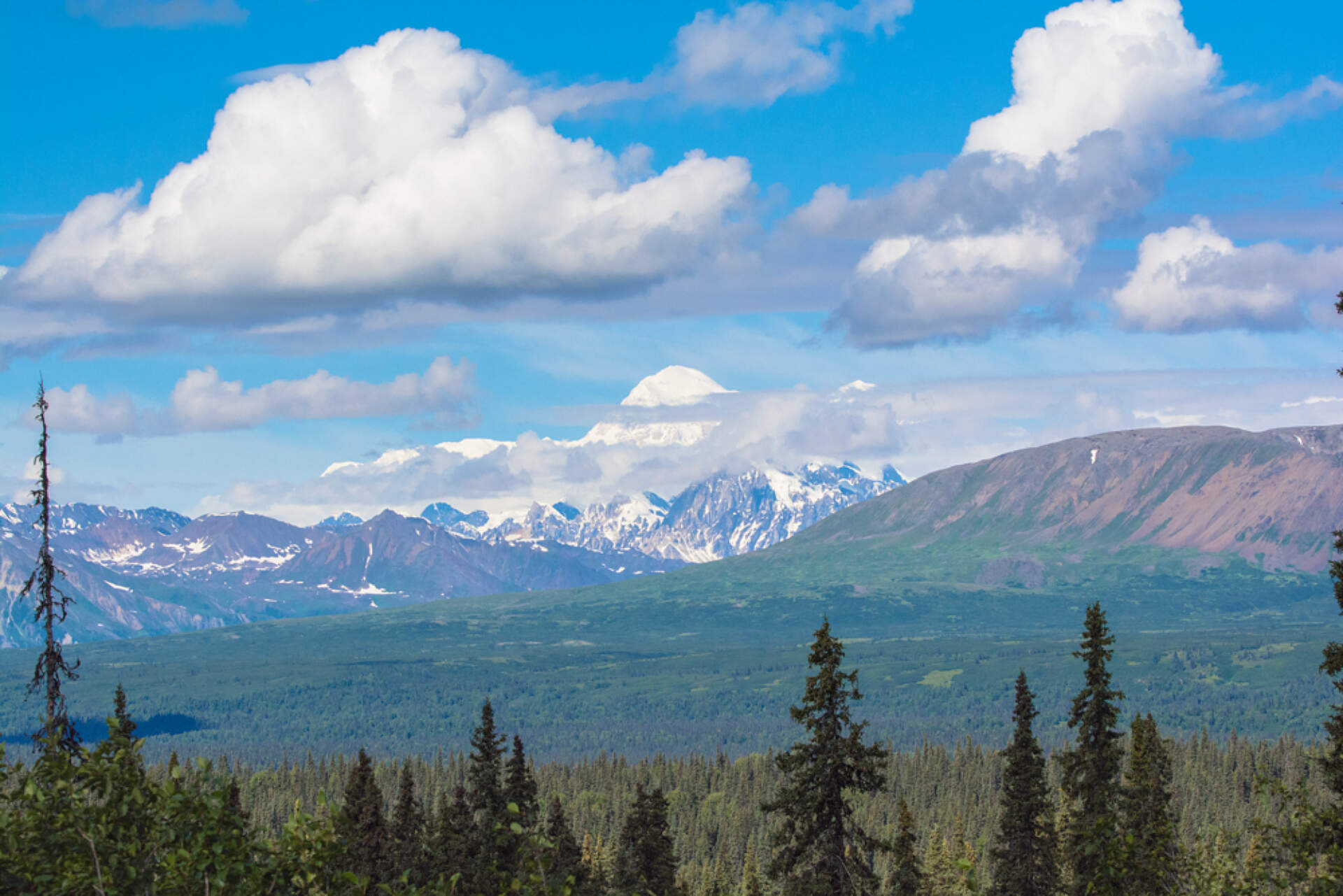 Mt. Denali from the Parks Highway