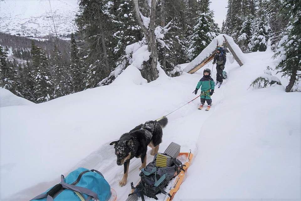 Ari Stiassny Resurrection Pass Ski 2020 Feb Taz Ari