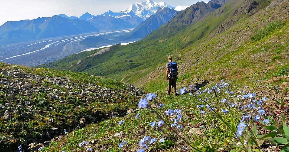 Best Things to Do in WrangellSt. Elias National Park …