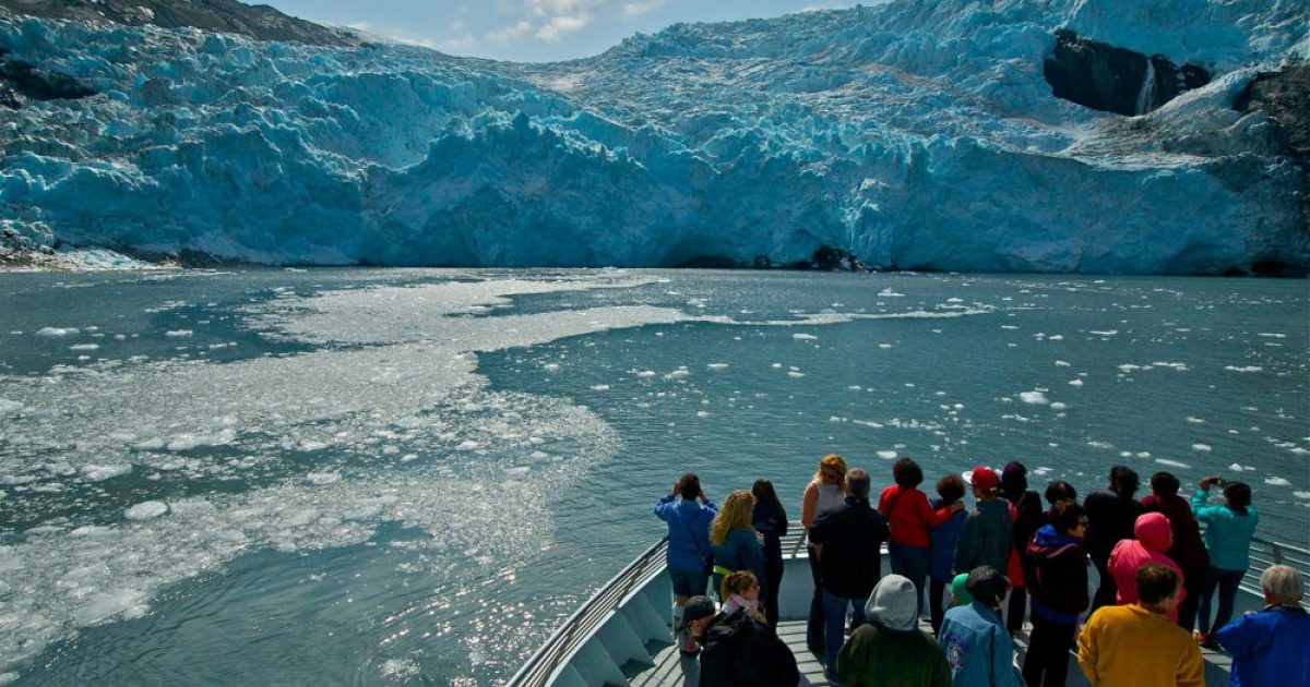 Anchorage Day Cruises Sail Out To See Glaciers And…