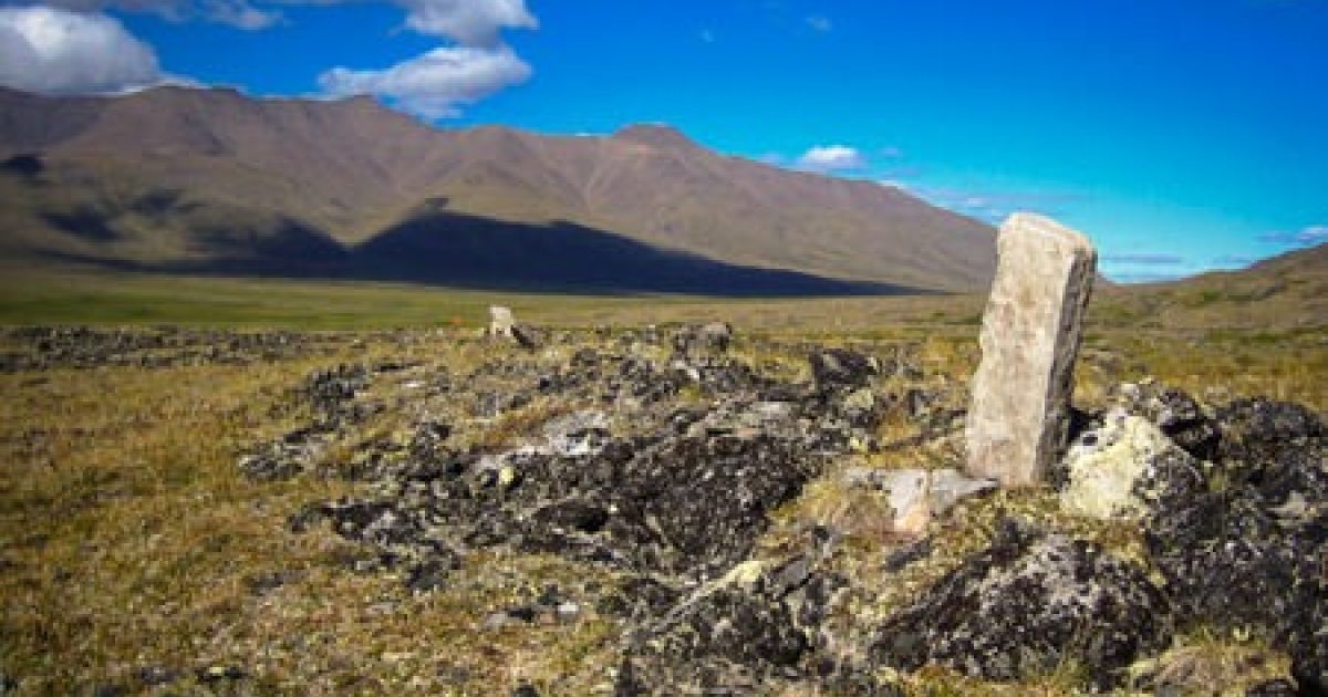 マッシュ・レイン／北極The Arctic Refuge Arctic National Wildlife Refuge | Arctic Wild