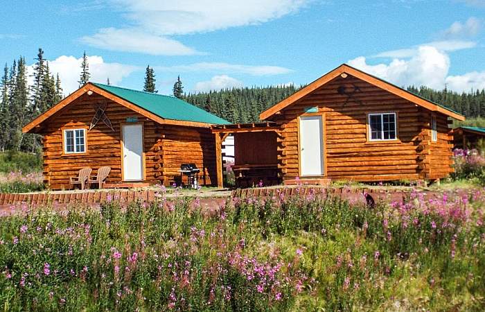 Chicken hotels lodges cabins