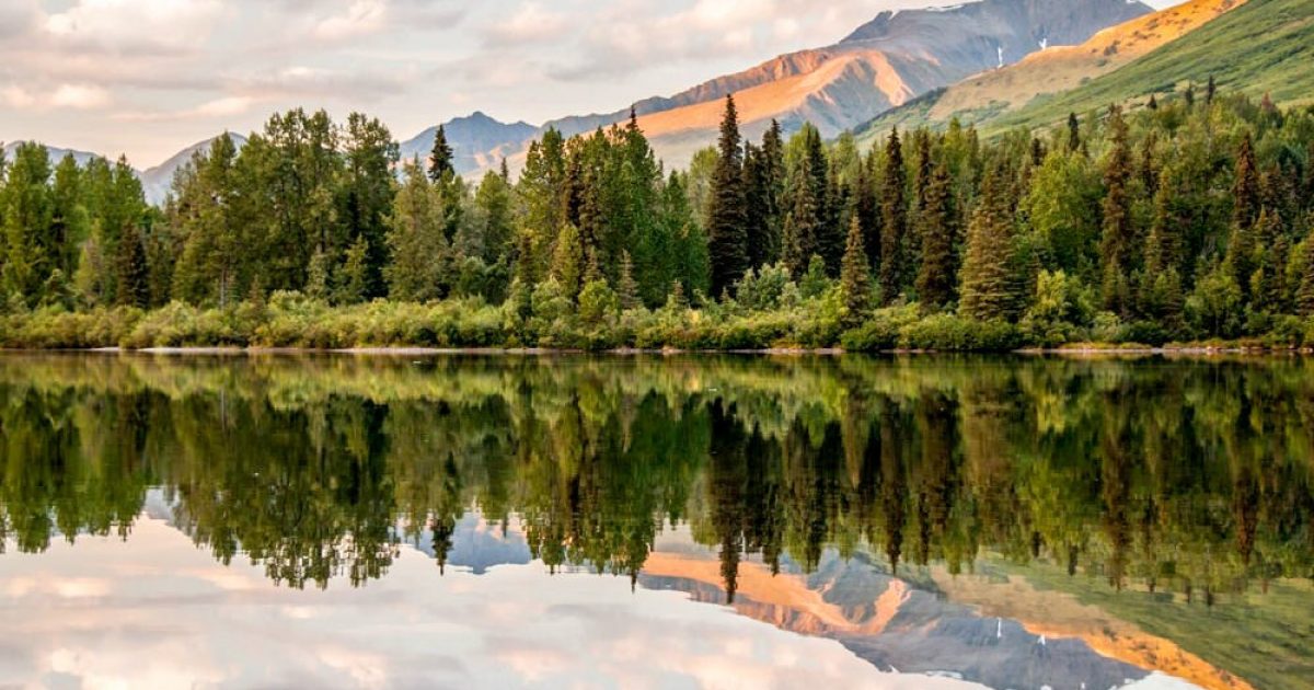 National forest campgrounds outlet near me