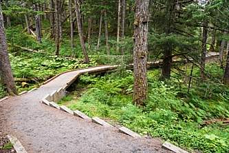 Chugach national forest parks trails Winner Creek 13 08 008 2013 Jody Overstreet