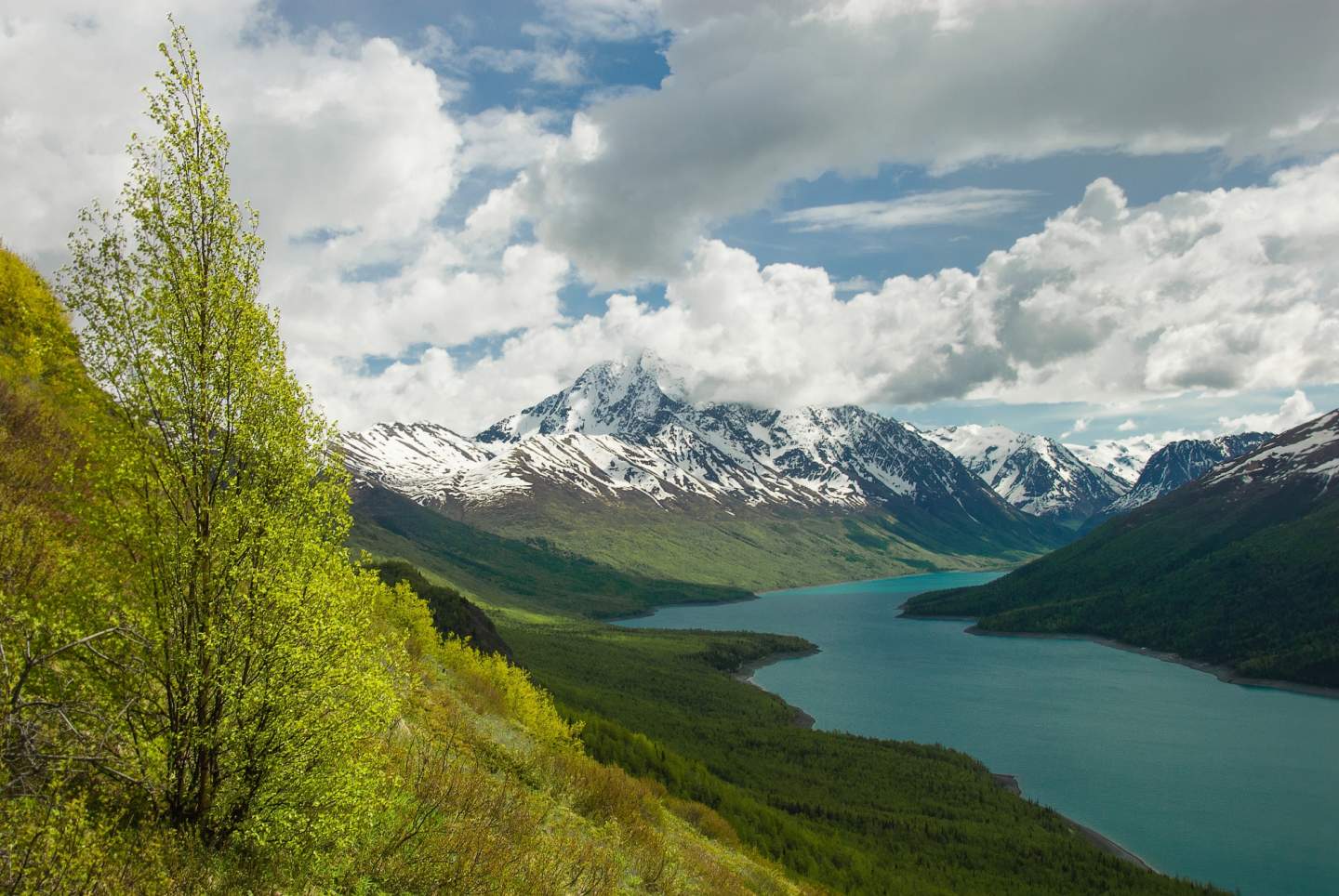 Chroma Eklutna Lake Spring charles woodfin