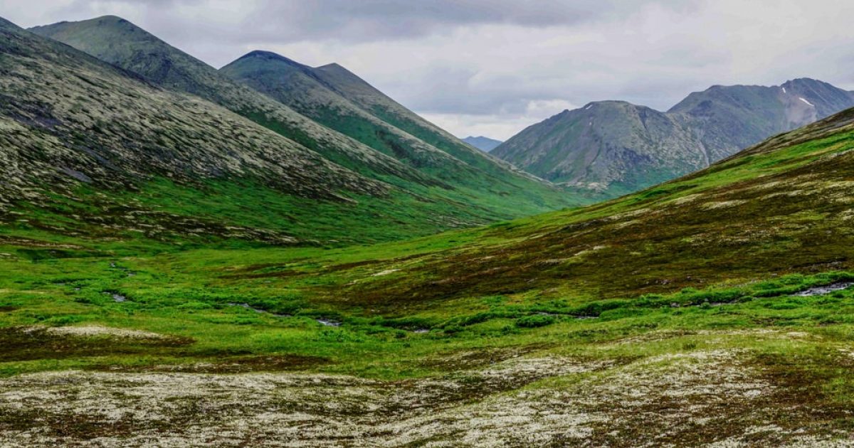 Cooper Landing Hiking Trails The Area's Best Trails