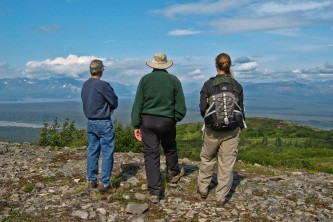 Denali national park guided hiking
