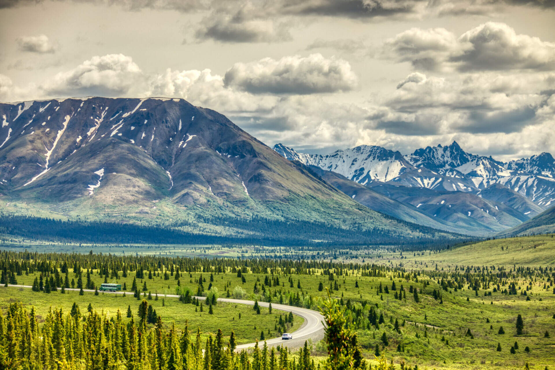 View of the Denali Park Road