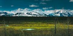 Denali national park trip ideas landscape with mountains in denali national park alaska