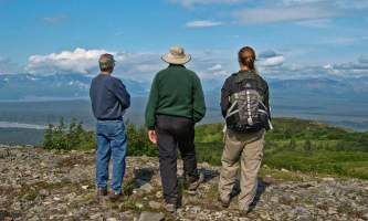 Denali national park guided hiking