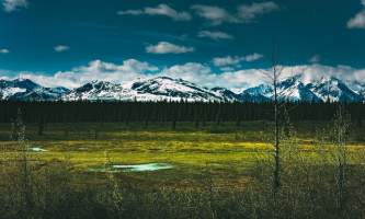 Denali national park trip ideas landscape with mountains in denali national park alaska