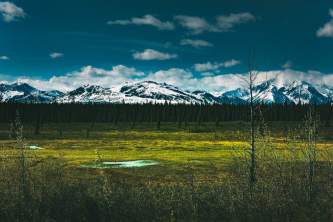 Denali national park trip ideas landscape with mountains in denali national park alaska