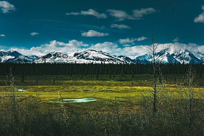Denali national park trip ideas landscape with mountains in denali national park alaska