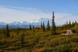 Denali state parkdenali state park camping wonder lake raewyn poole Raewyn Poole
