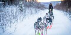 Fairbanks winter Whitney Mc Laren 4086