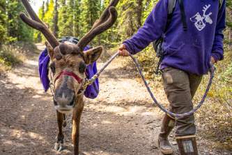 Fairbanks hiking tours