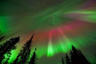 Fairbanks northern lights tours