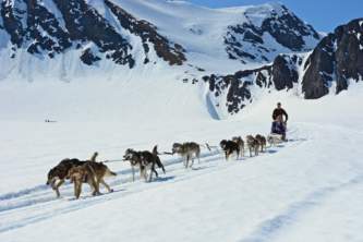 Girdwood glacier dog sledding Alaska Channel