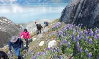 Glacier bay national park parks and trail Un Cruise Northern Passages Glacier Bay