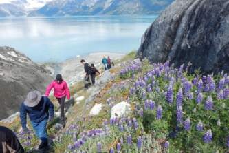 Glacier bay national park parks and trail Un Cruise Northern Passages Glacier Bay