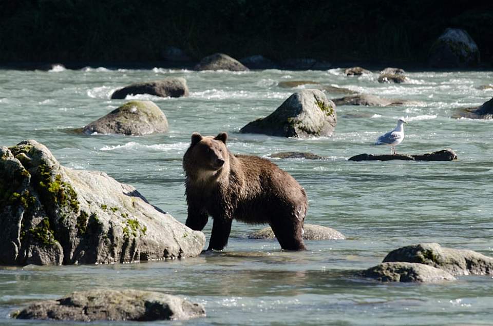 Take an unforgettable adventure and sharpen your camera skills on a Photography Tour