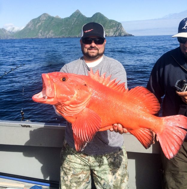 Kenai Peninsula Fishing Charters, The Best Charters