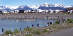 Homer Alaska Fishing Hole Jenny Olson1