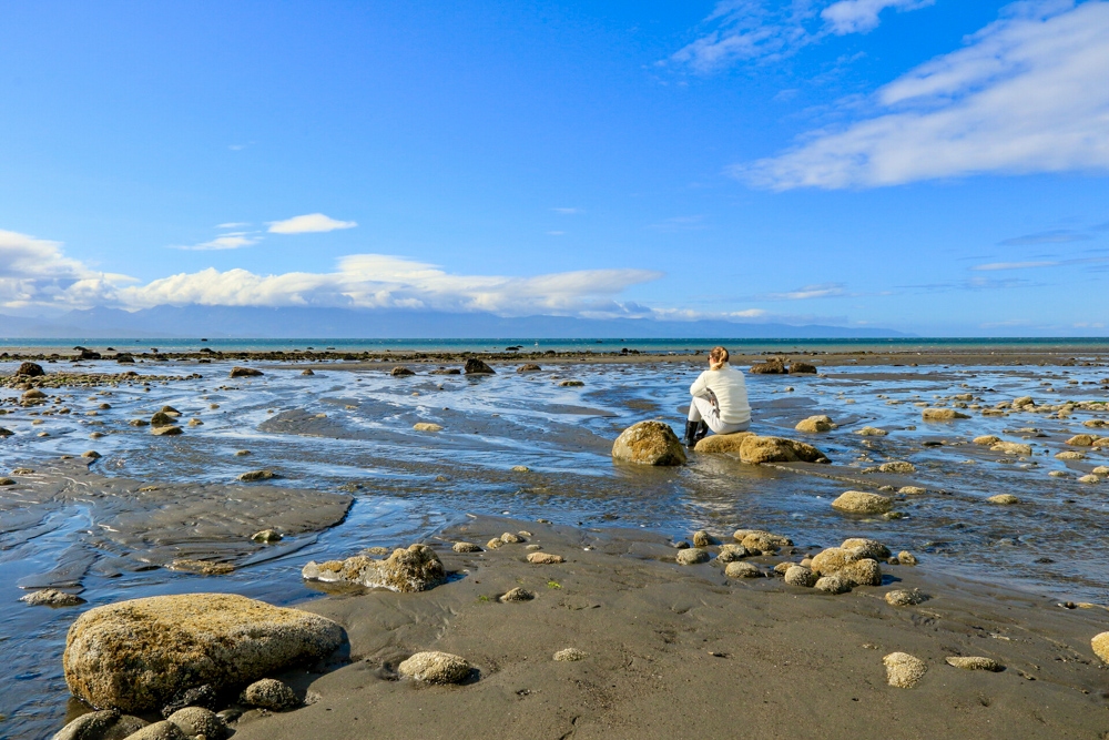 Solitude at Bishop's Beach during low tide. Photo by Theresa Wiltrout
