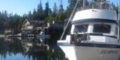 Port protection ted stevens photo contest