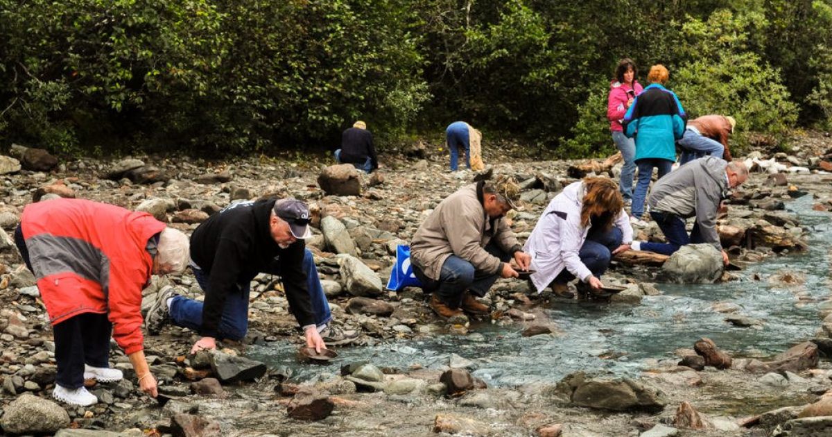 Where to Go Gold Panning in Alaska