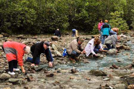 Juneau gold panning tours Alaska Travel Adventures