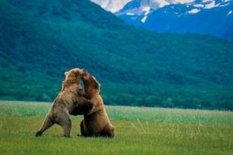 Katmai bear viewing tours AAA019 Modified Alaska Channel