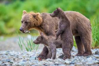 Katmai national park From20 Jess 12 www Jess Taunton com geographic marine expeditions
