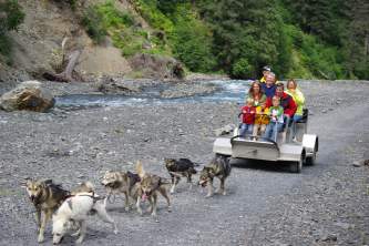 Kenai Peninsula Dog Sledding Tours