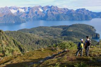 Kenai Peninsula Guided Hiking