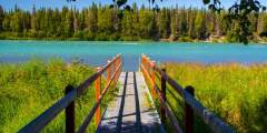 Kenai soldotna cameron gibbs Cameron Gibbs