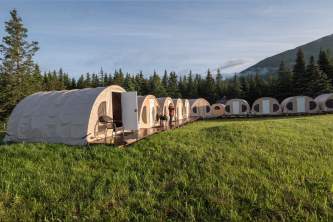 Kenai soldotna bear viewing lodges alaska bear camp