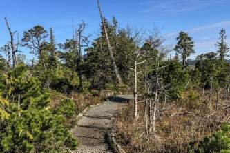 Ketchikan guided hiking CGB Muskeg Trail