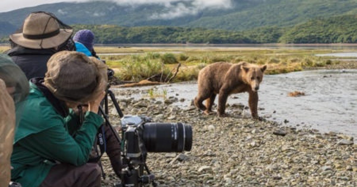 Kodiak Bear Viewing Lodges Where To Stay