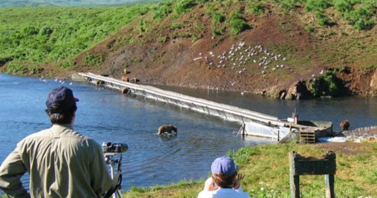 Kodiak Fishing Best Spots For Fishing In Kodiak Alaska Org