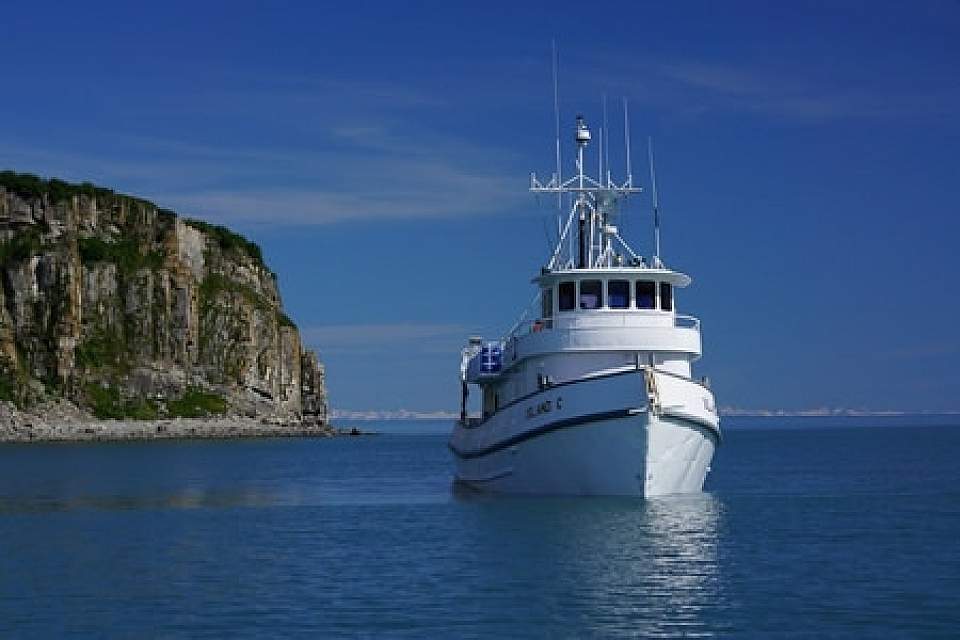 Imagine seeing whales, glaciers, bears and more- from the comfort of a private yacht