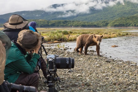 Experience Alaska Bear Viewing tours on beautiful Kodiak Island