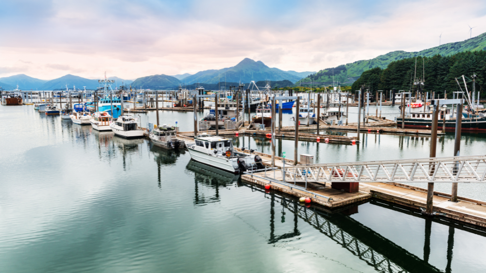 Rich ocean currents, pristine ecosystems, and successful management all play a part in Kodiak's rich fishing