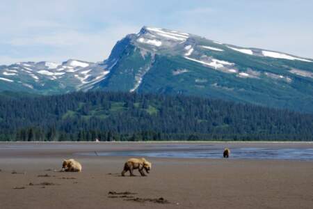 Alaska Lake Clark National Park2 Lake Clark National Park