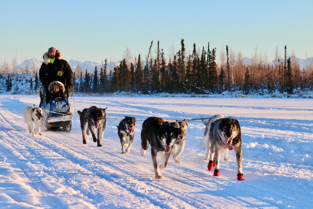 Experience the excitement of riding behind a team of energetic sled dogs on a Dog Mushing Tour