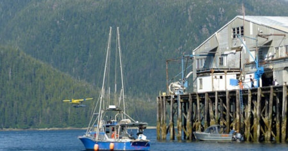 The Best Things to Do in Pelican