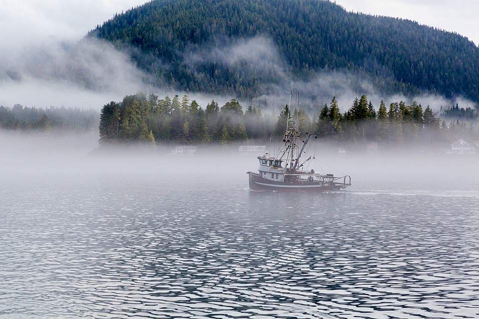 A fishing boat sails through foggy Mitkof Island.